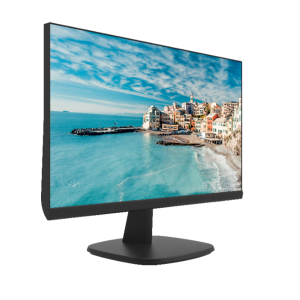Monitor Hikvision 24" Borderless LED Fhd Hdmi Vga --- DS-D5024FN